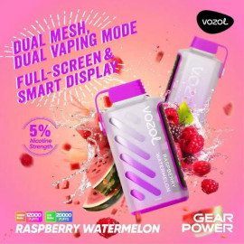 vozol 25k raspberry watermelon power
