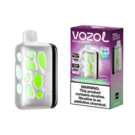 VOZOL 40K PEACH RASPBERRY LEMONADE RAVE