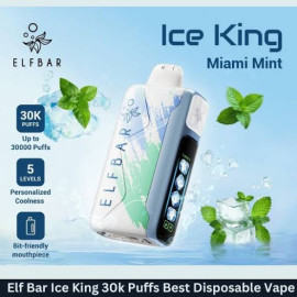 Elf bar 30k Miami mint 