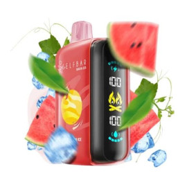 Elf bar 25k watermelon ice