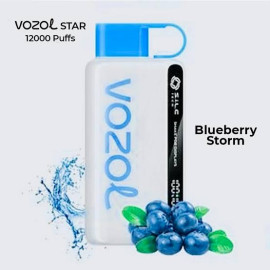 vozol 12k blueberry storm