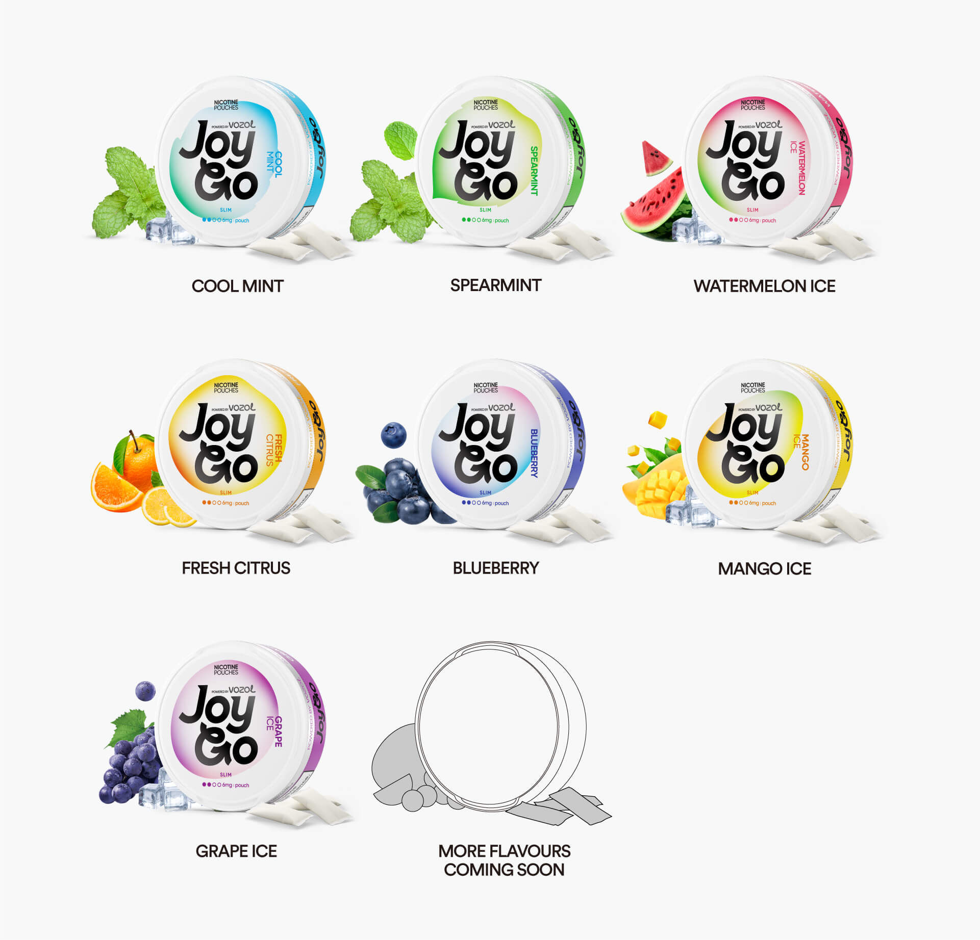 nic pouches JoyGo Mint Regular